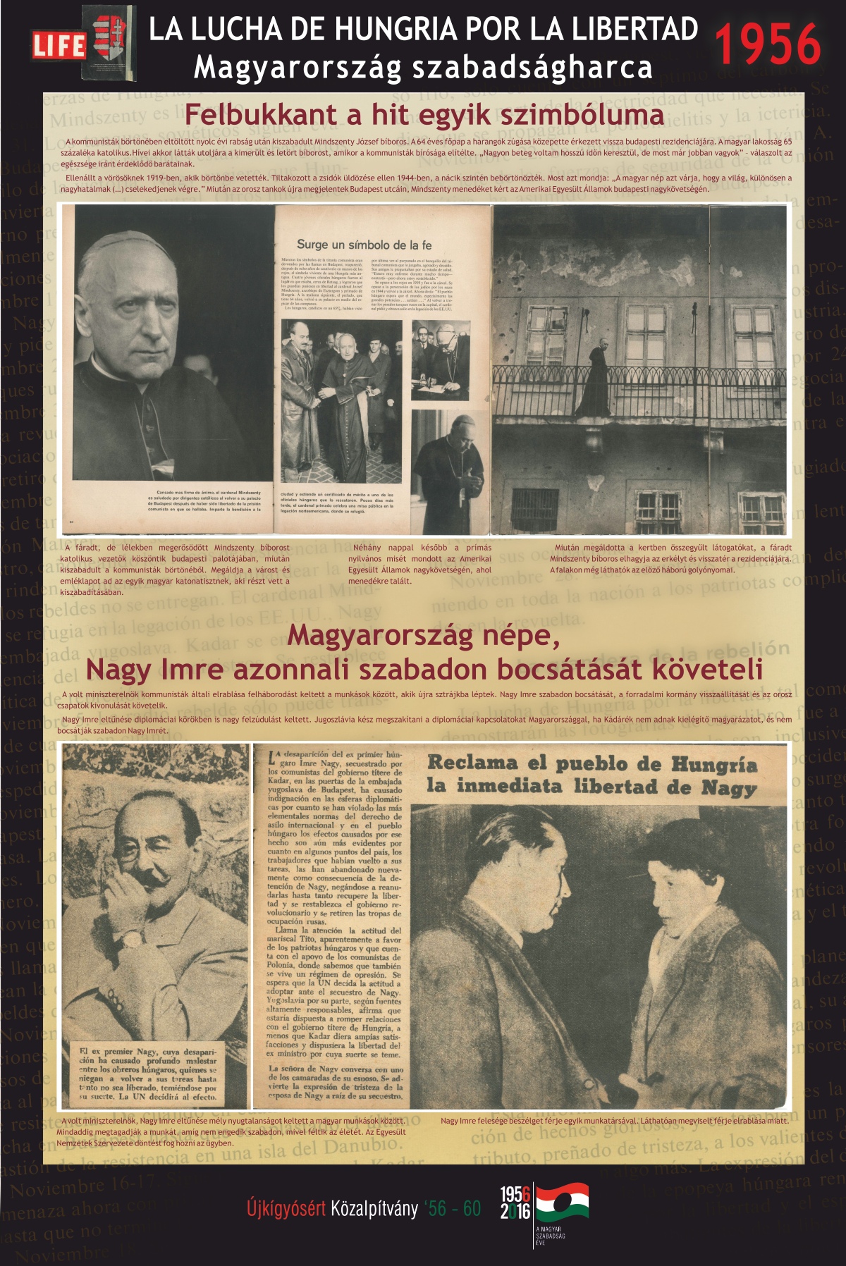 Magyarország szabadságharca 7